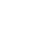 icon1
