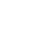 icon2