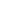 icon5